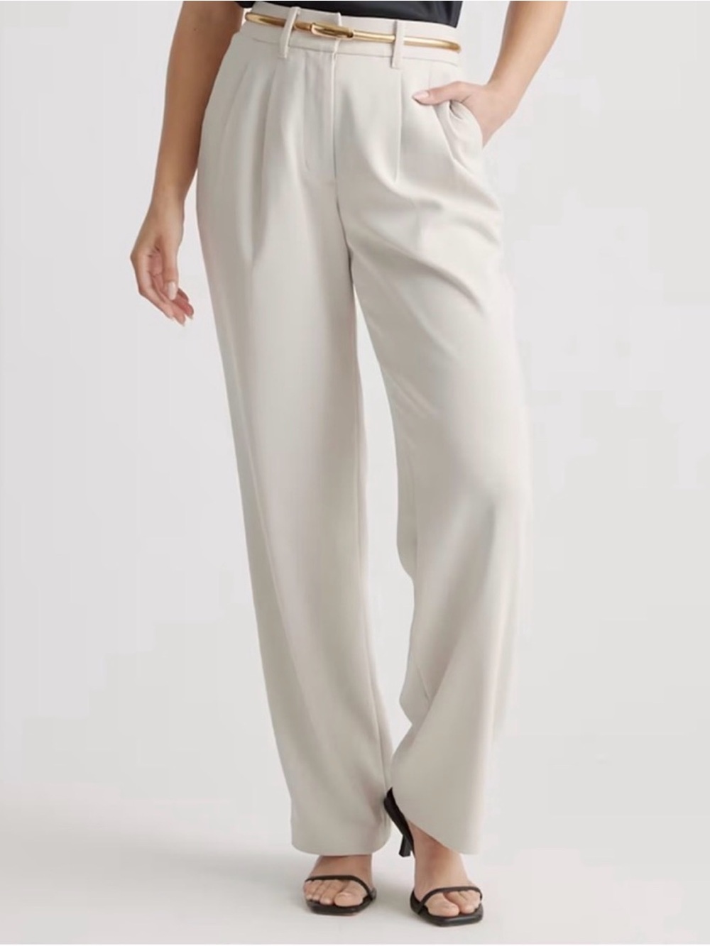 NWT Quince Wide-Leg Pleated Dress Pants in Sand